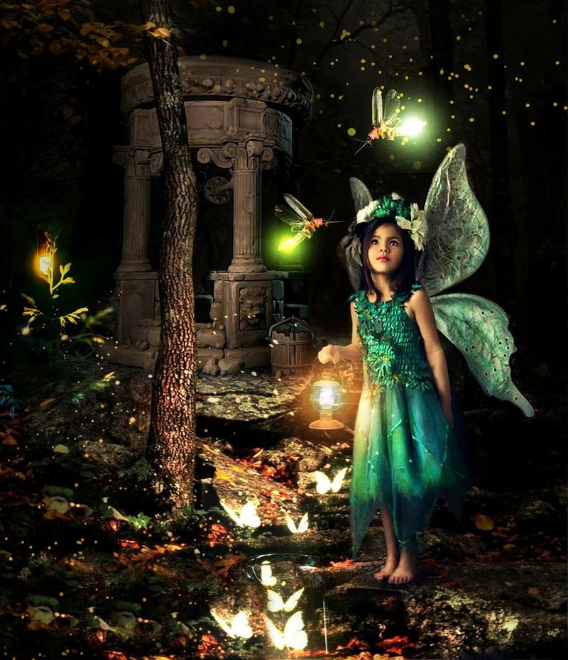 Fairy Dress